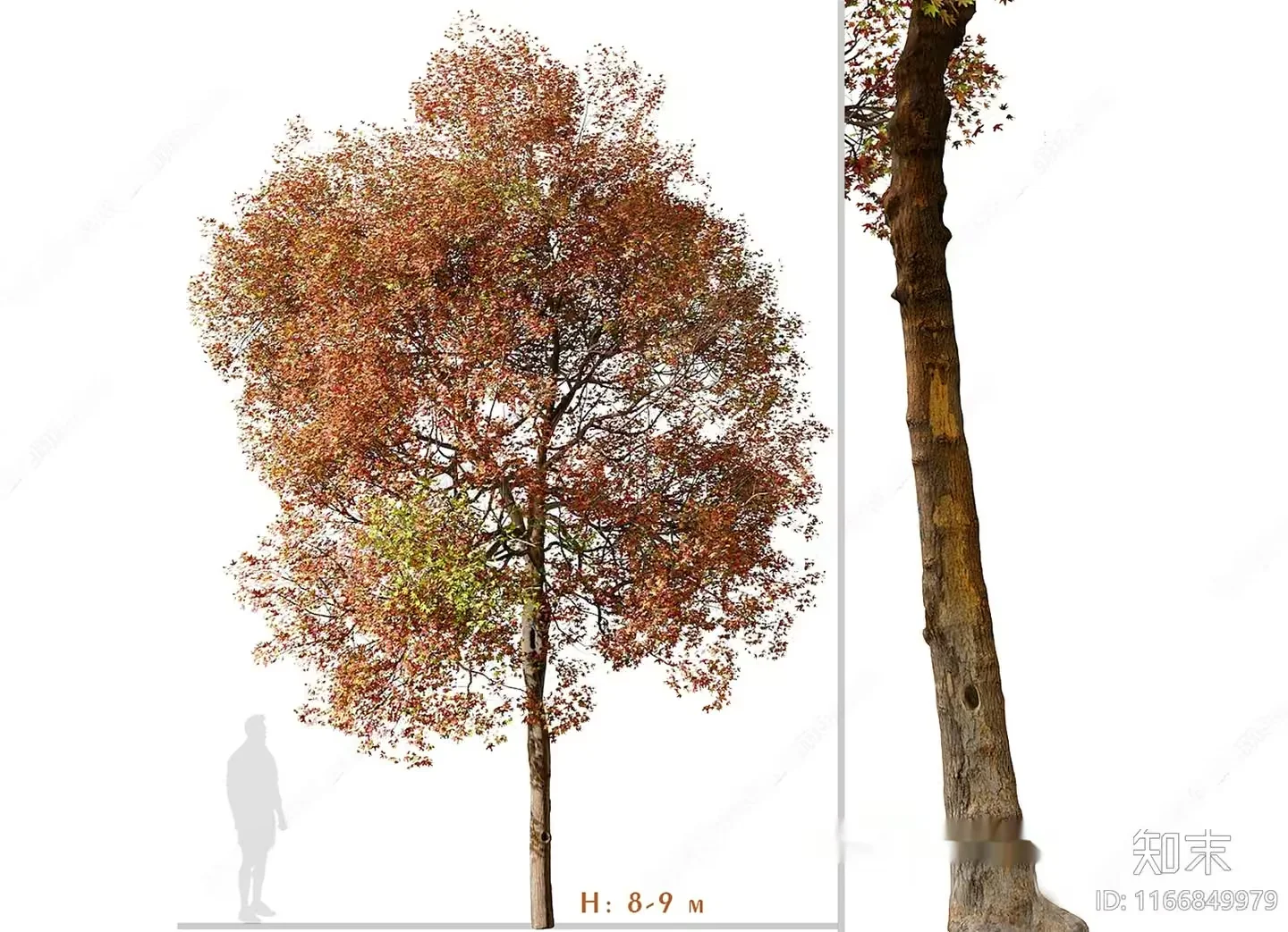 A Tree With A Brown Trunk 3D Model – 8770 – VRAY Render