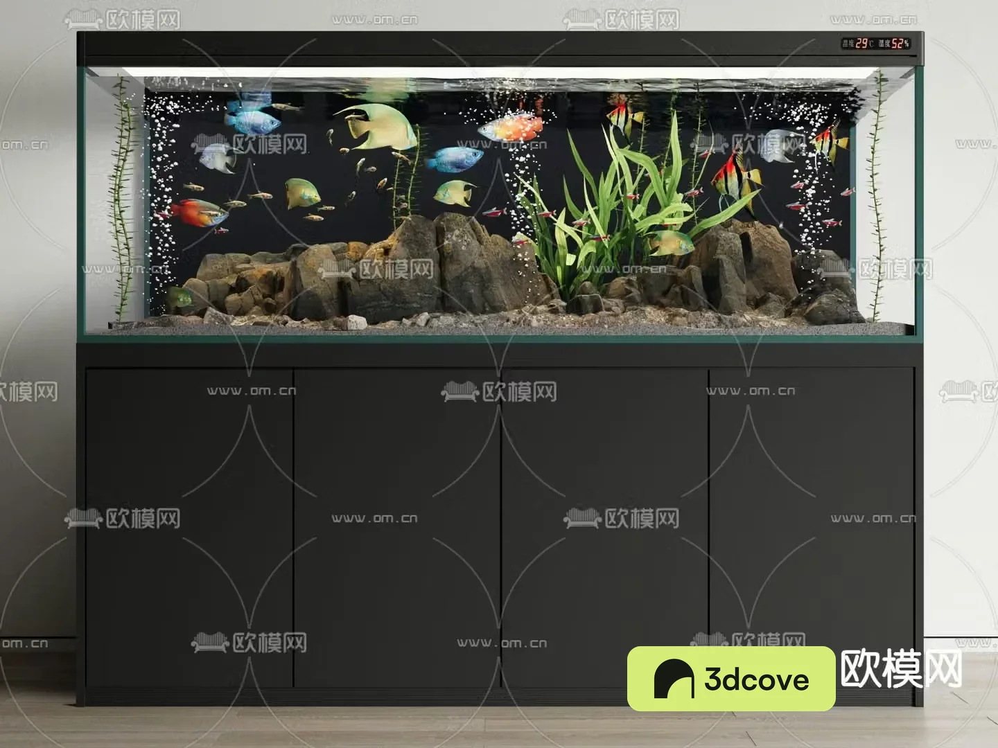 Fish tank Stream tank Aquarium