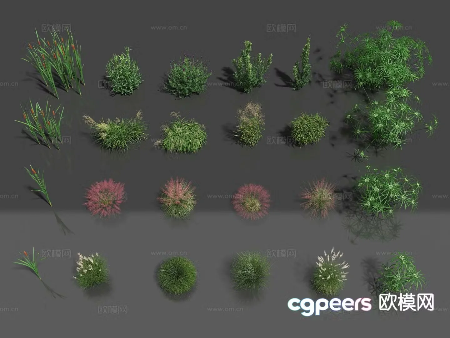 Plants flowers wildflowers wild grass 3d model