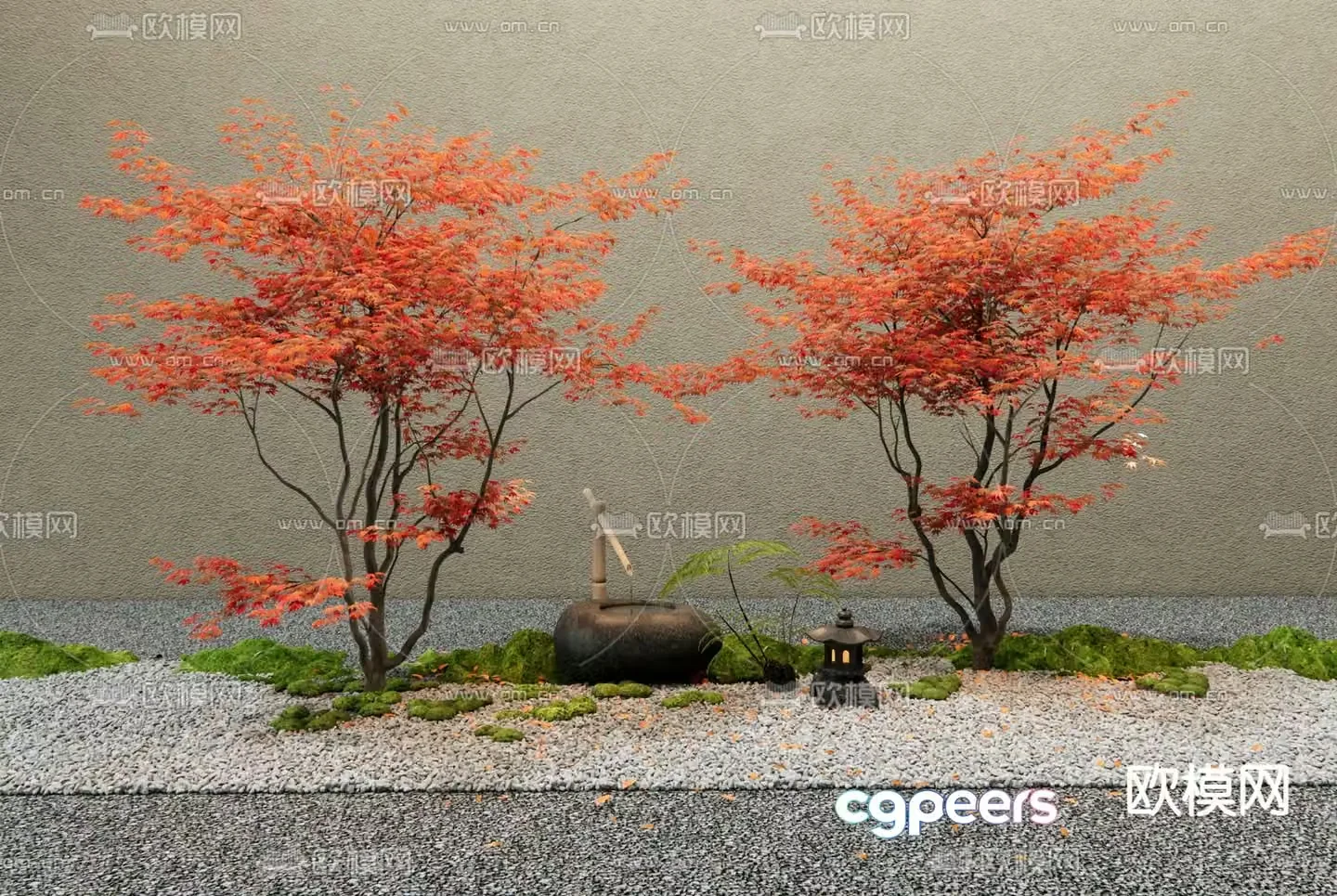 Japanese red maple landscape 3D model