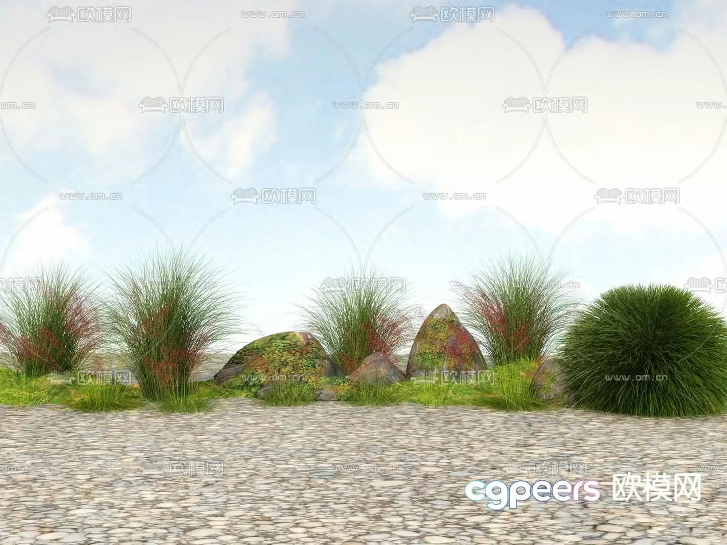 Flowers and plants Wild grass Weeds 3d model