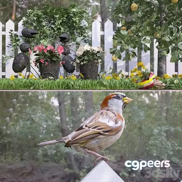 3ds Max Free – Song sparrow in the country)