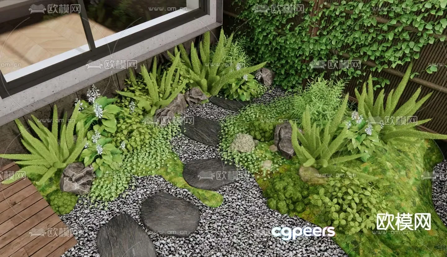 Flowers and plants Flower border Plant pile Foxtail Asparagus Moss 3D model