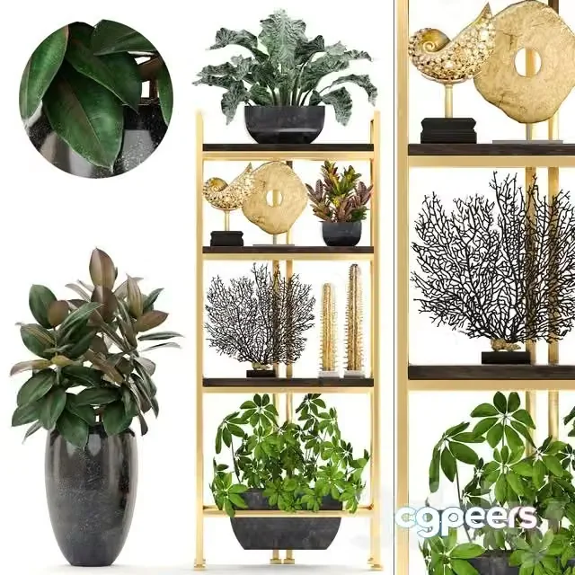 3ds Max Free – Decorative set 4 Shelf with flowers
