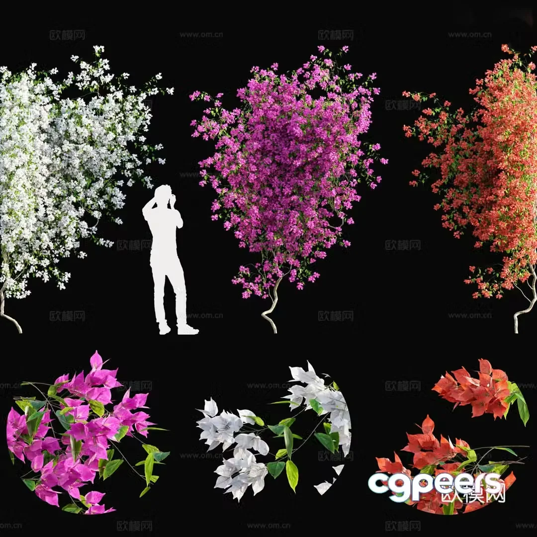 Flowering plant 3d model