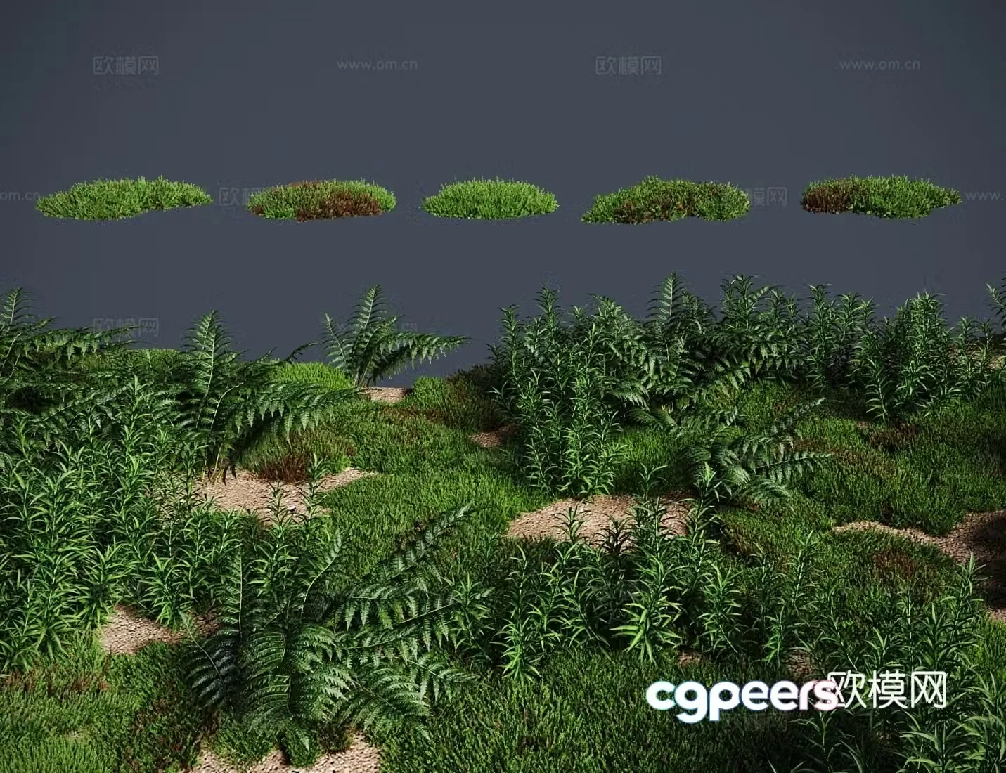 Modern grass lawn Hainan Mingye Moss grassland 3d model