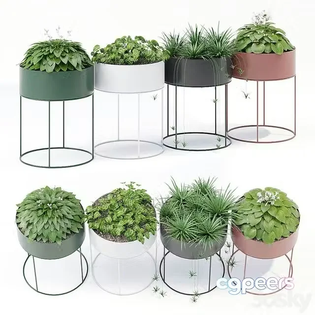 3ds Max Free – Plant box round