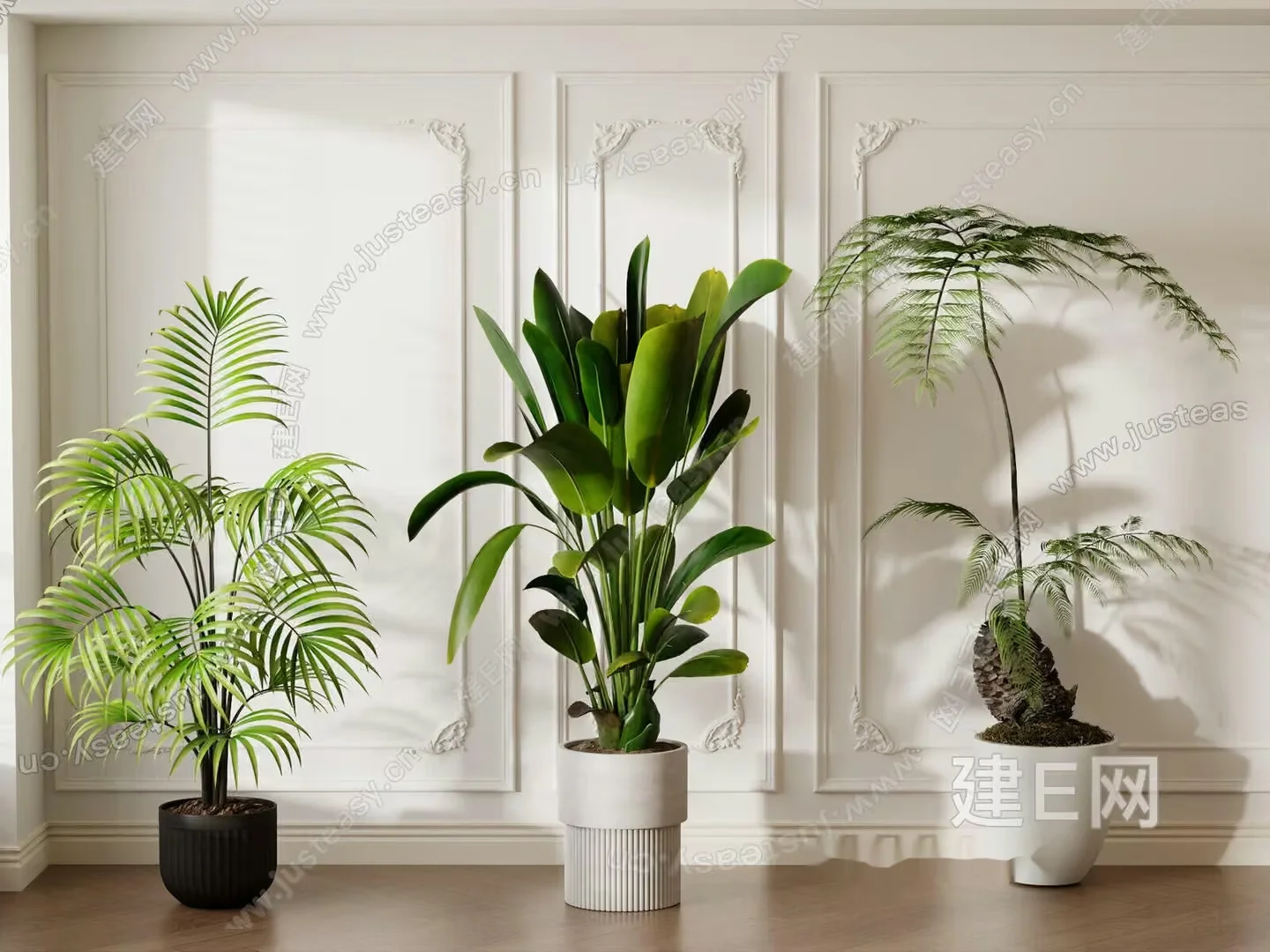 Three Potted Plants 3D Model – 15728 – VRAY Render