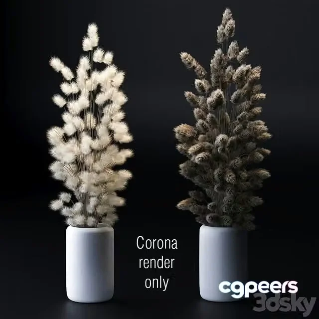 3ds Max Free – Bouquet of dried flowers. 2 models