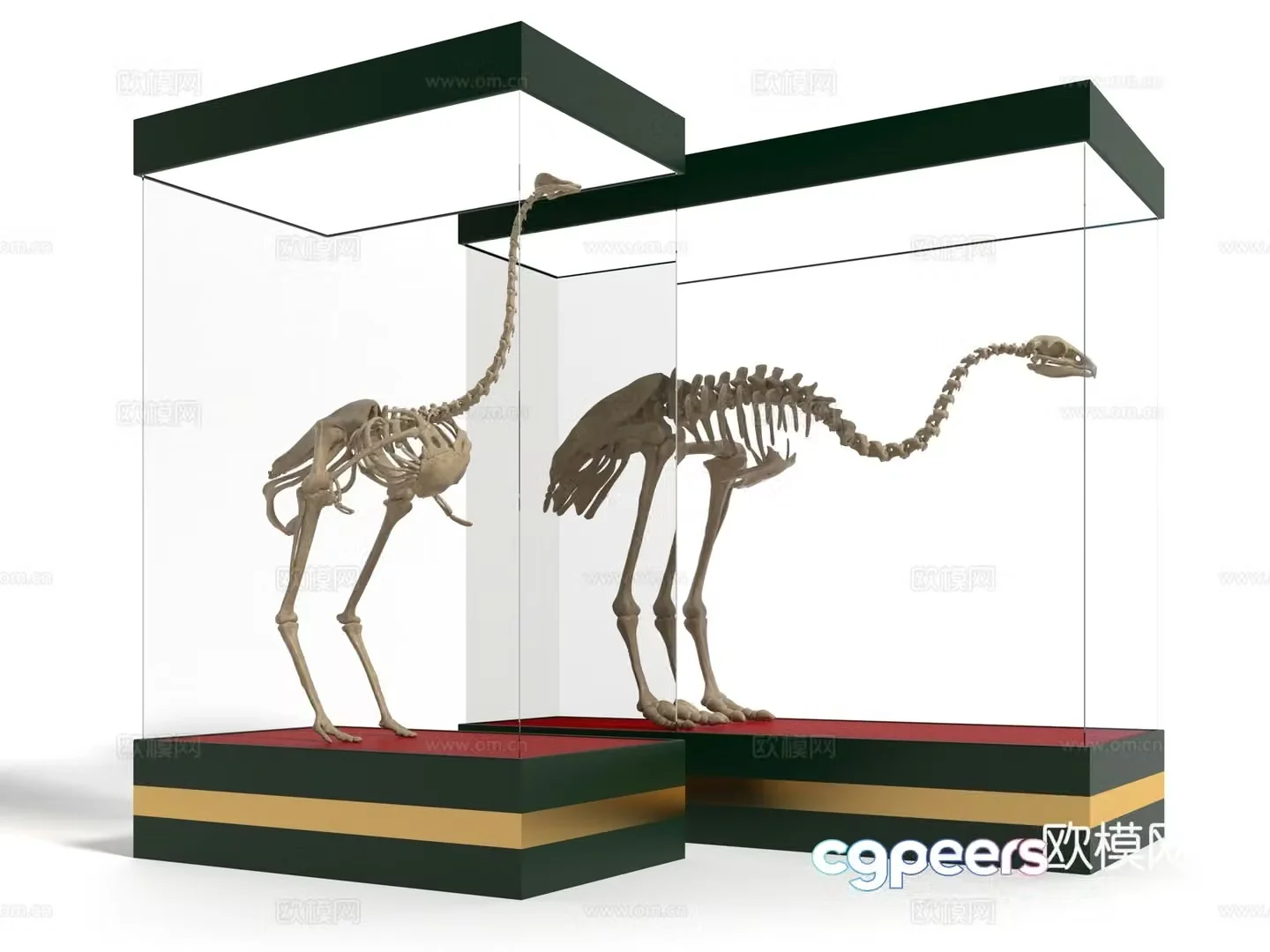 Modern skeleton sculpture showcase 3d model
