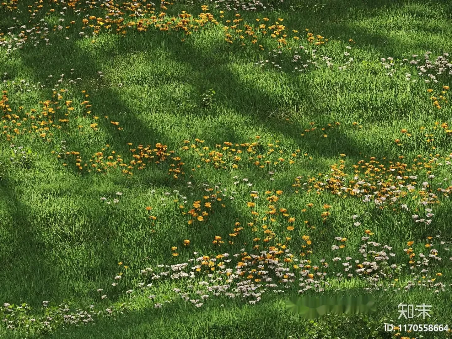 A Field Of Wildflowers 3D Model – 11344 – CORONA Render