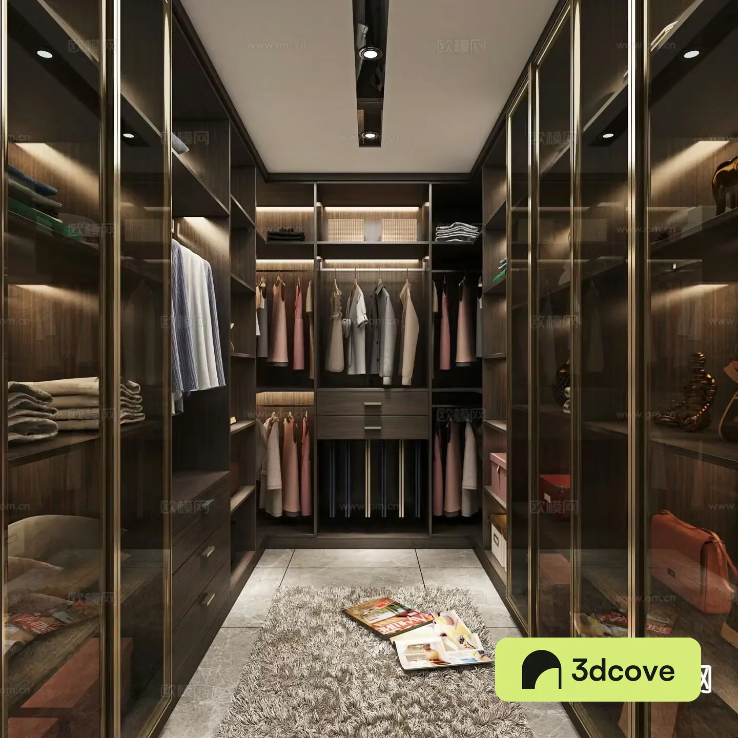 Light luxury cloakroom