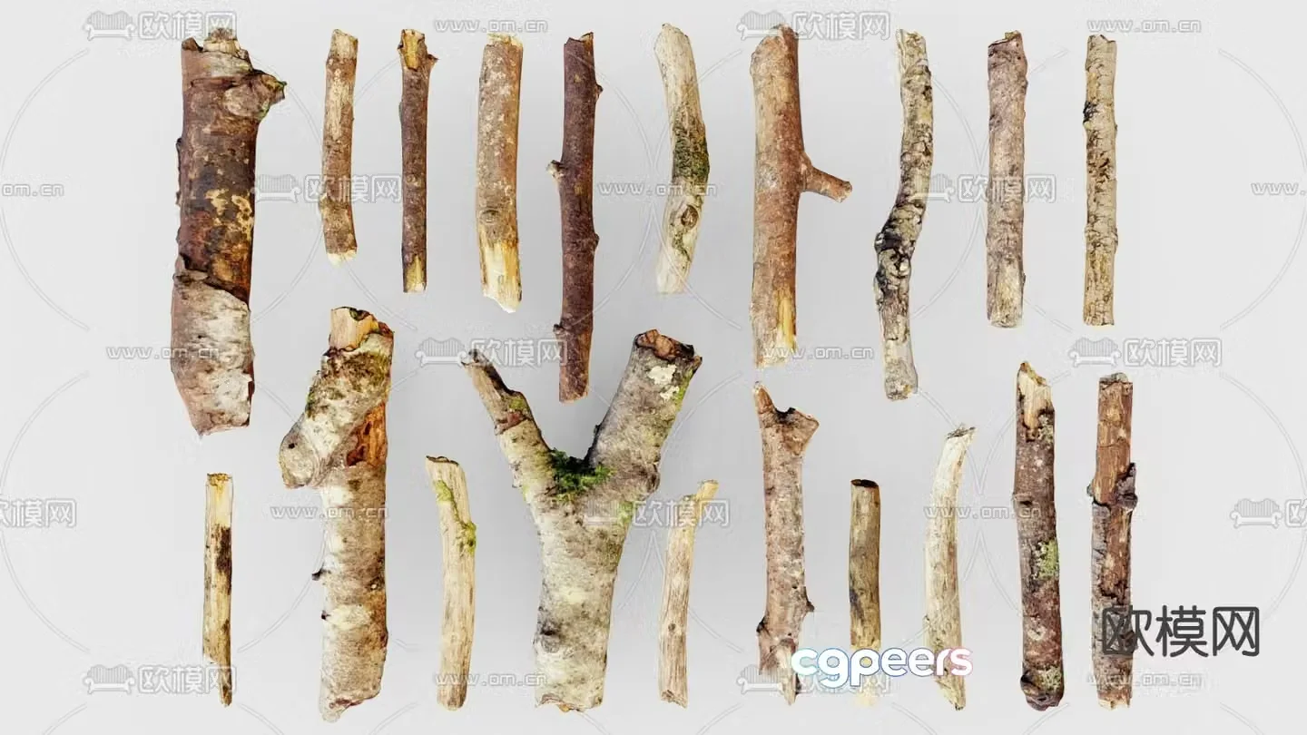 tree trunk dead branch dead wood 3d model