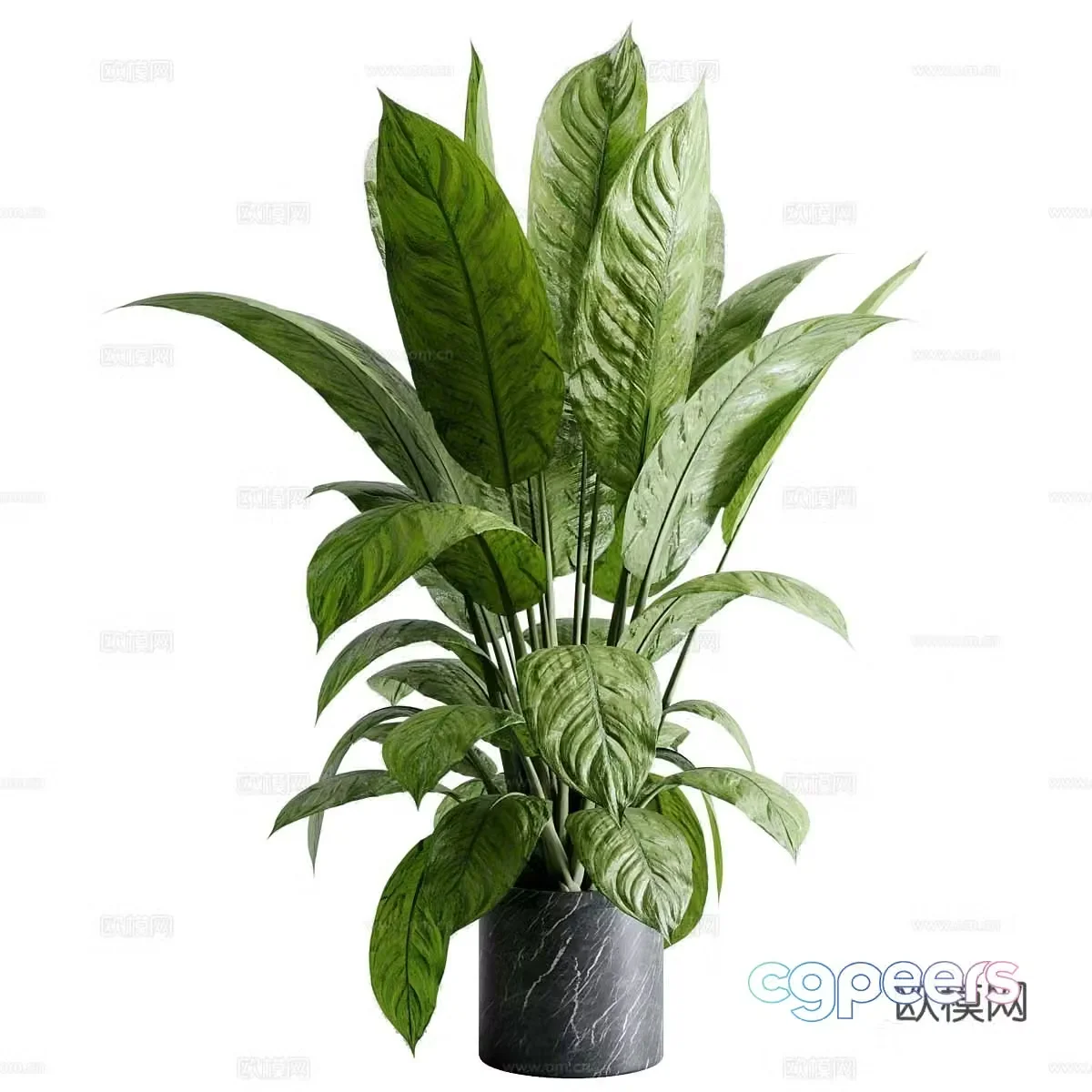 Vase flowers 3d model