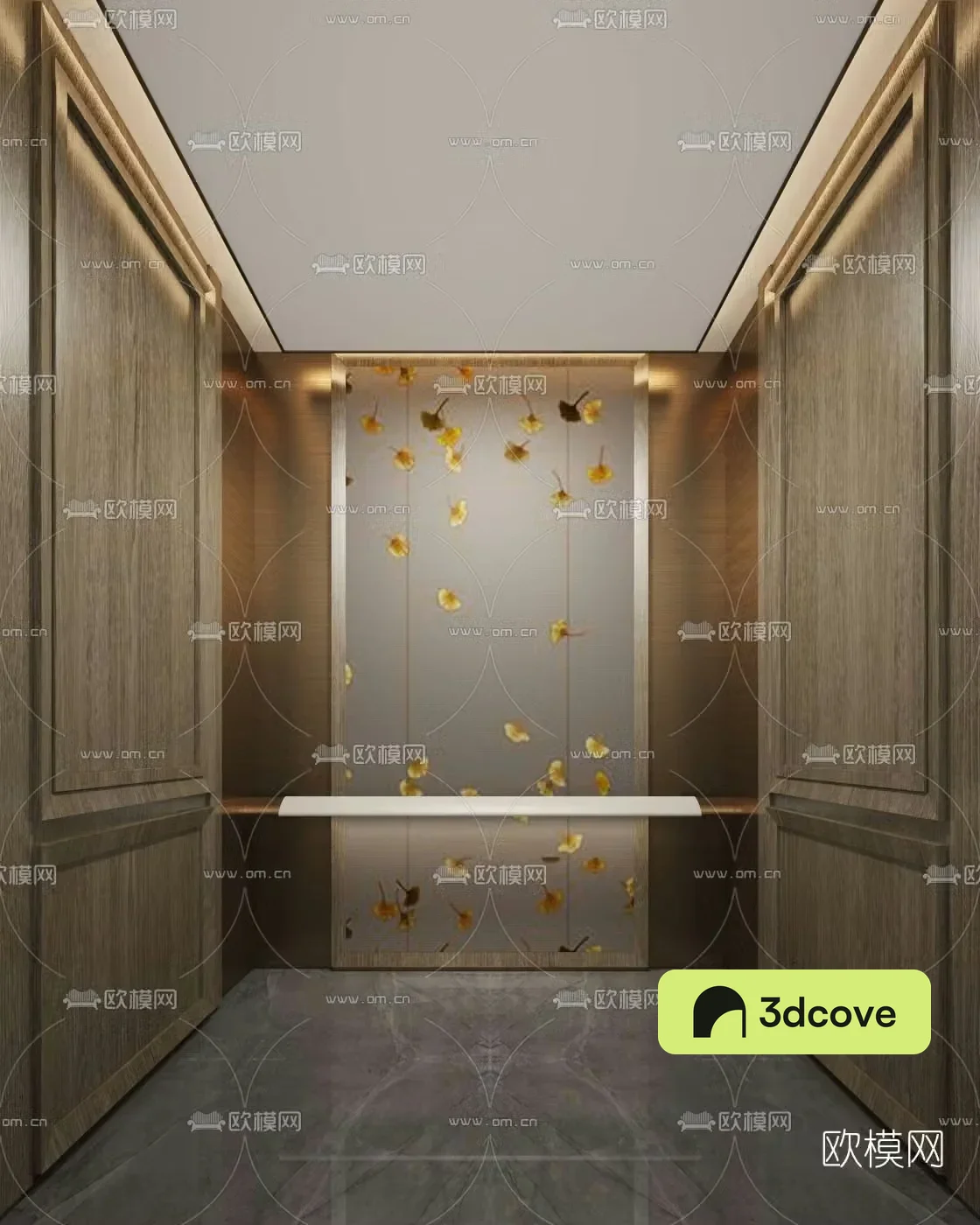 New Chinese style elevator car