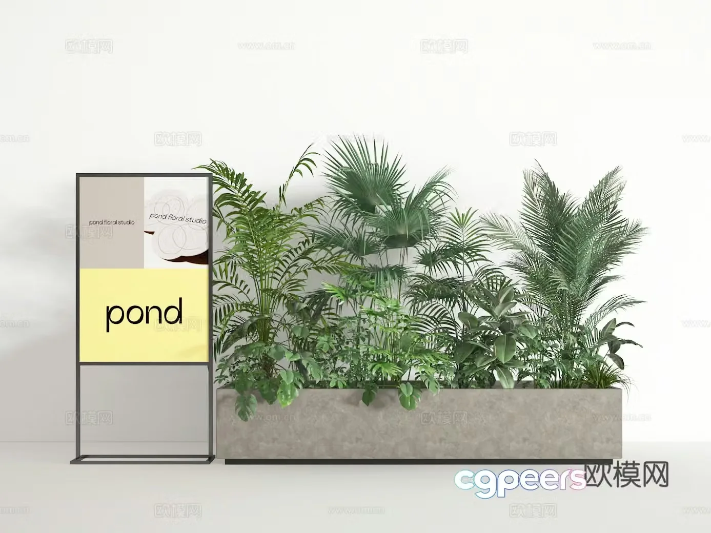 Bonsai 3d model