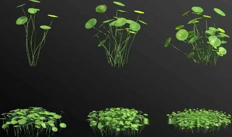 A Bunch Of Green Plants 3D Model – 11796 – VRAY Render