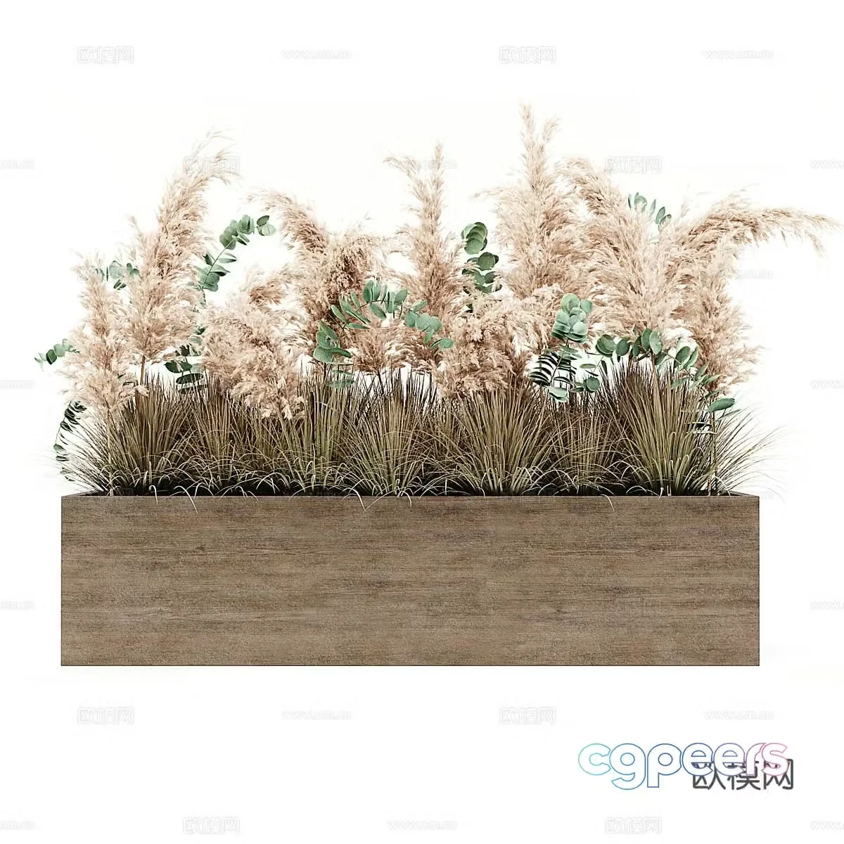 Pampas Grass Bonsai 3D Model