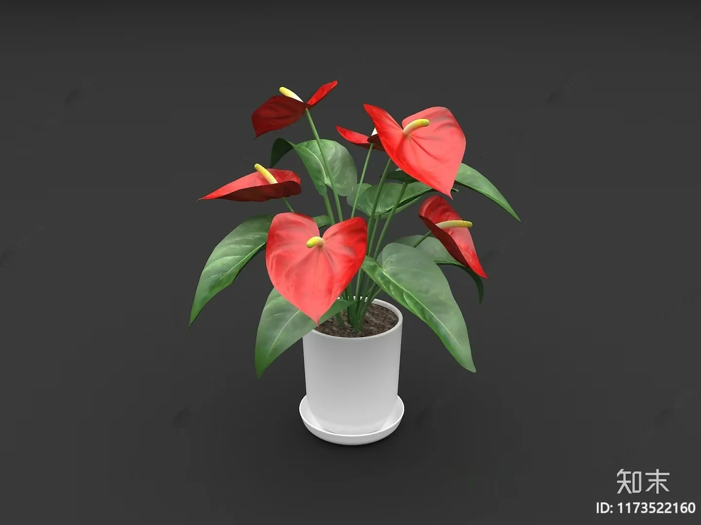 A Potted Plant With Red Flowers 3D Model – 683 – VRAY Render