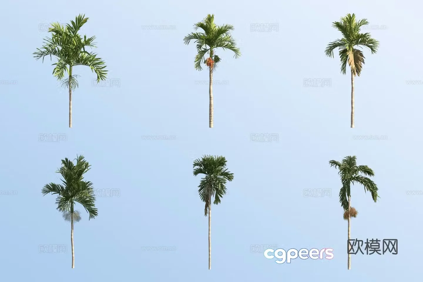 betel nut tree tropical tree landscape tree 3d model