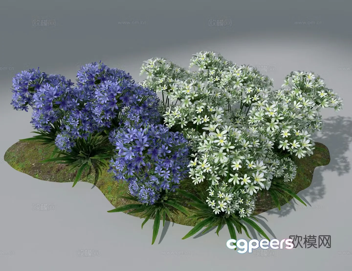 Landscape flowers and plants 3d model