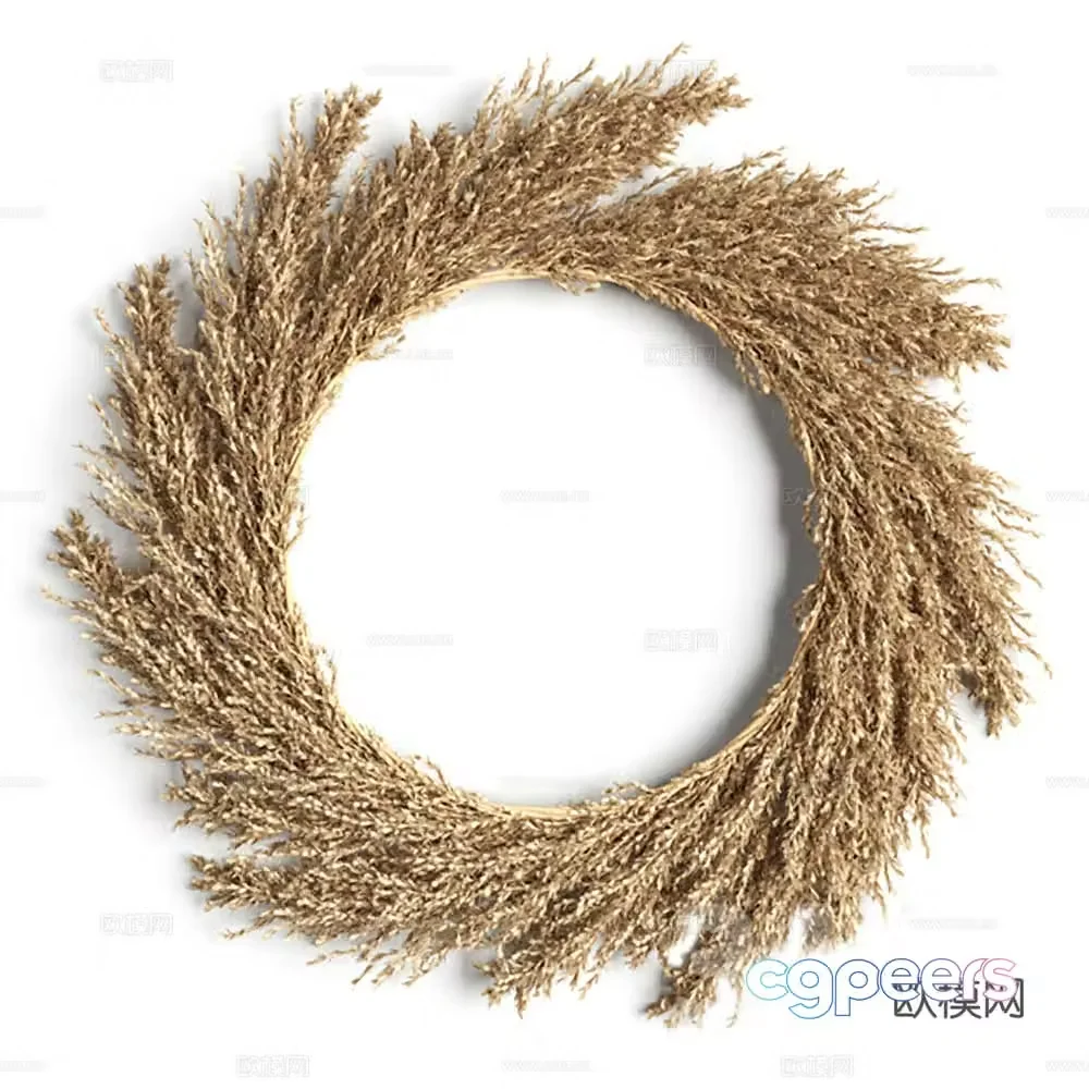 Pendant Plant Pendant Wall Pendant Wall Decoration Hay Wreath 3D Model