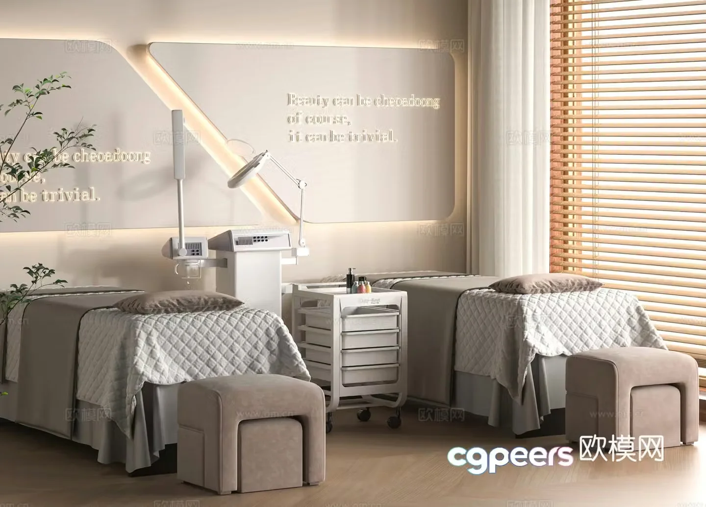 Modern Beauty SPA3d Model