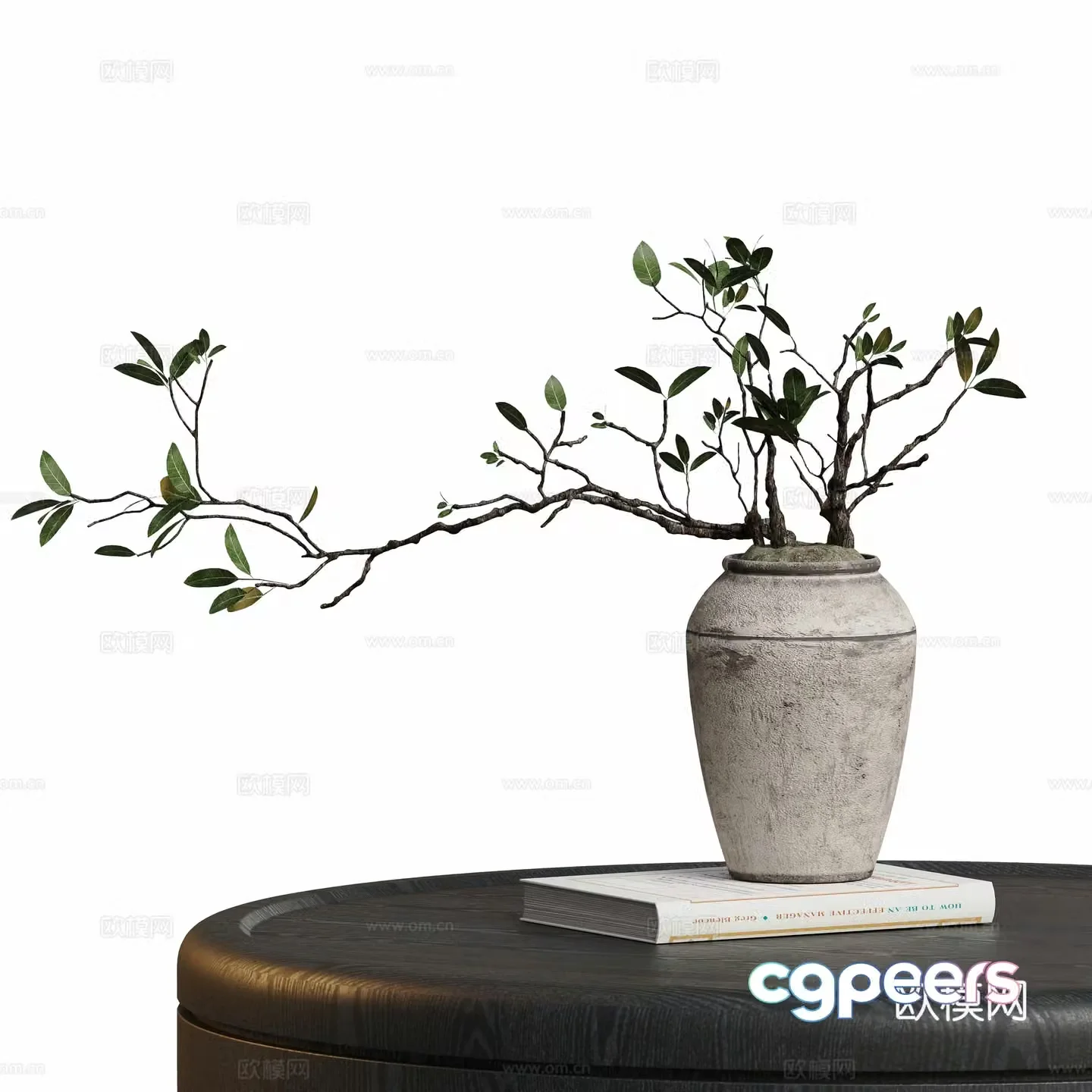 Modern potted plant 3d model