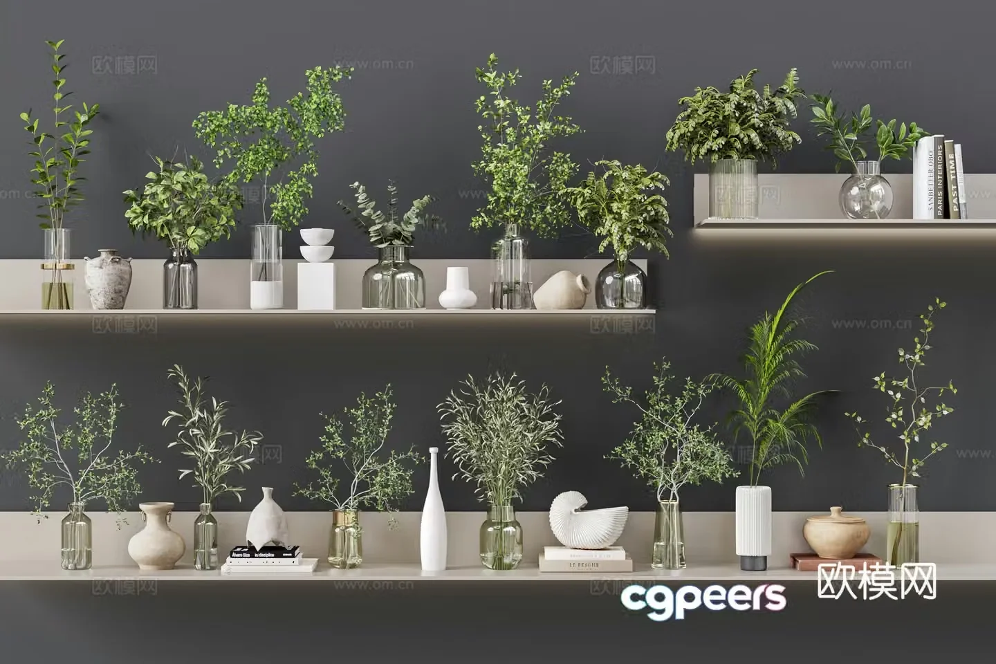 Modern aquatic green plants vases accessories potted plants plants glass bottles hydroponic green 3D model
