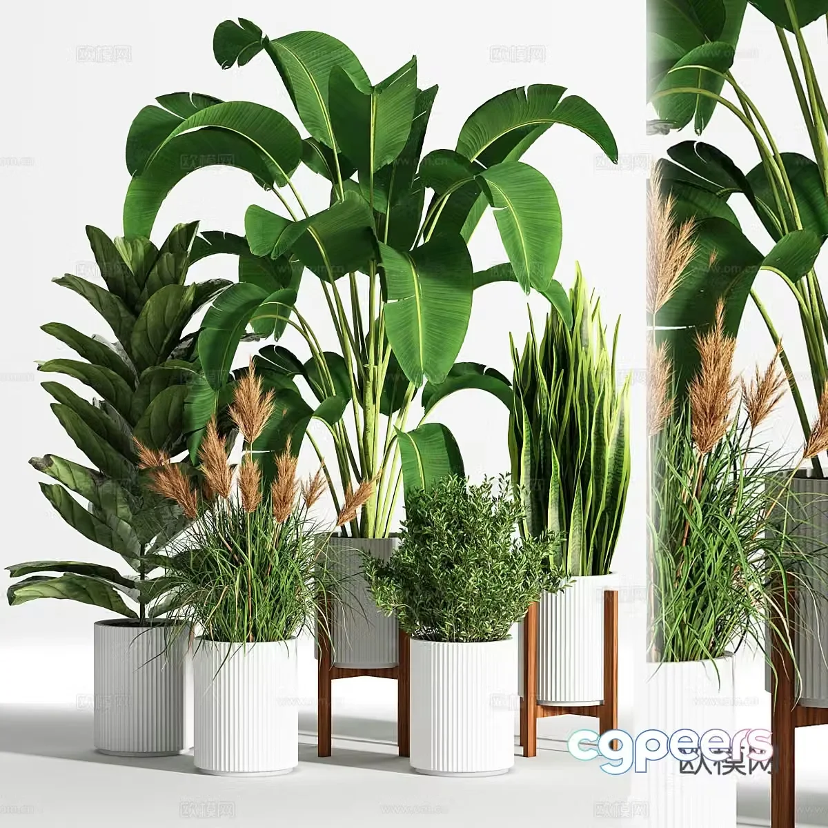 Green plant potted 3D model