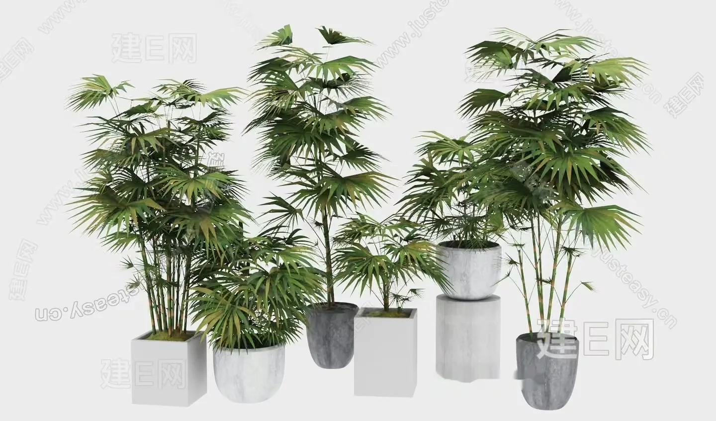 Potted Palm Trees 3D Model – 16318 – VRAY Render