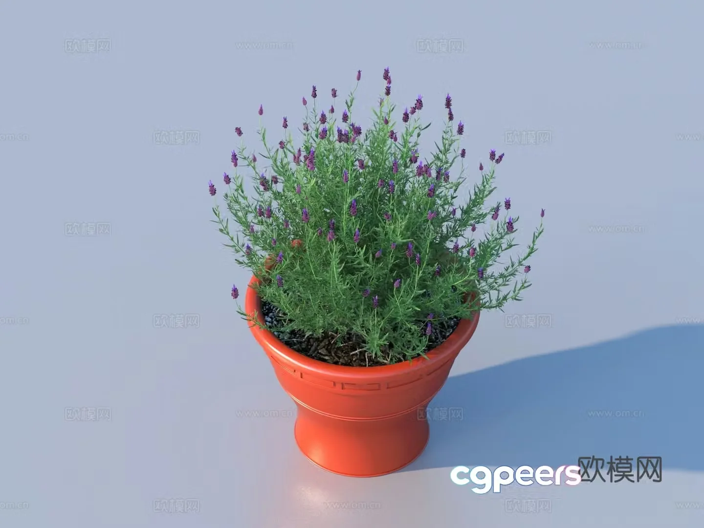 Flower pot pot green plants plant 3d model