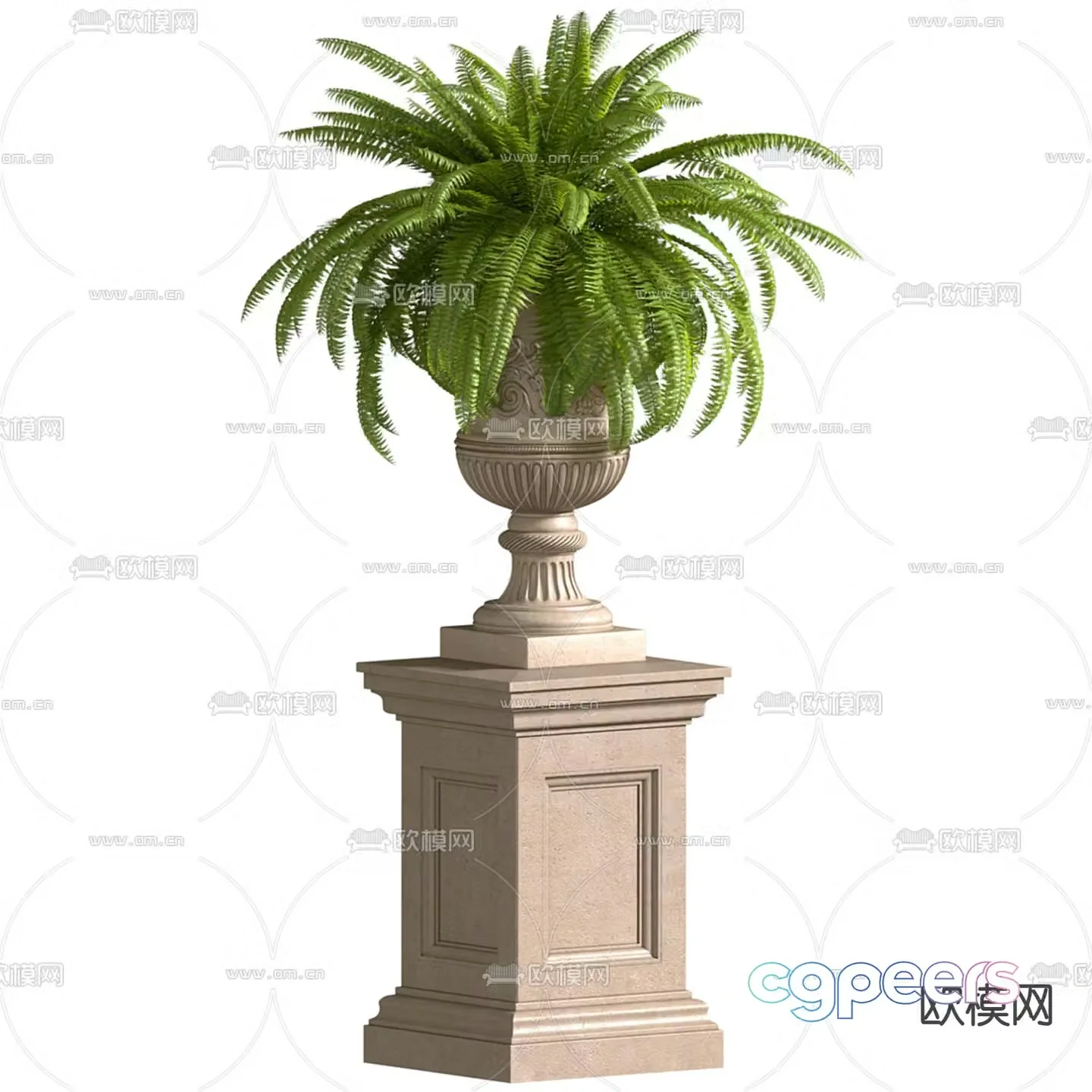 Flower bowl Flower bed Boston fern 3d model