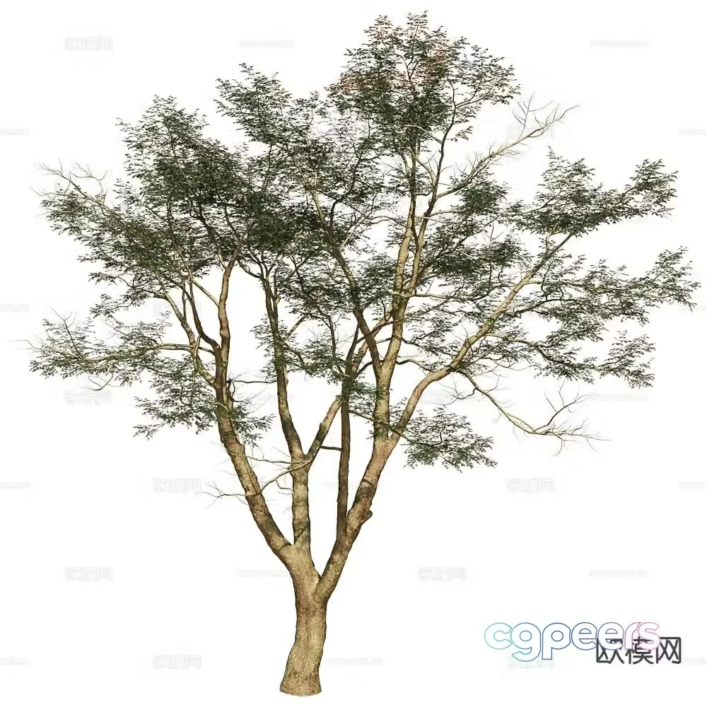 Modern tree green tree 3d model