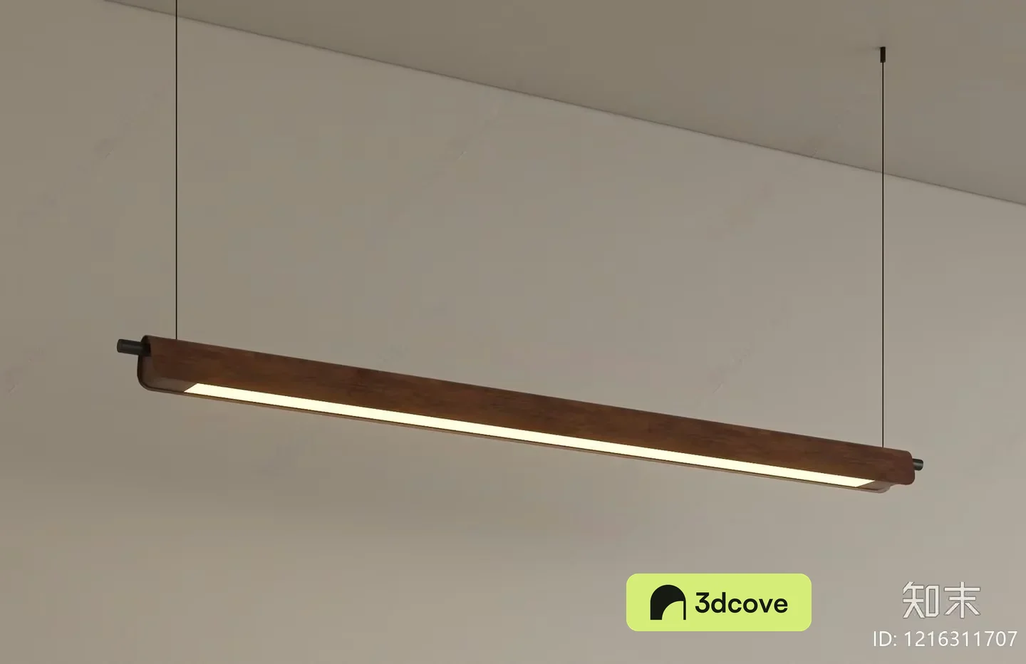 Modern Light Fixture