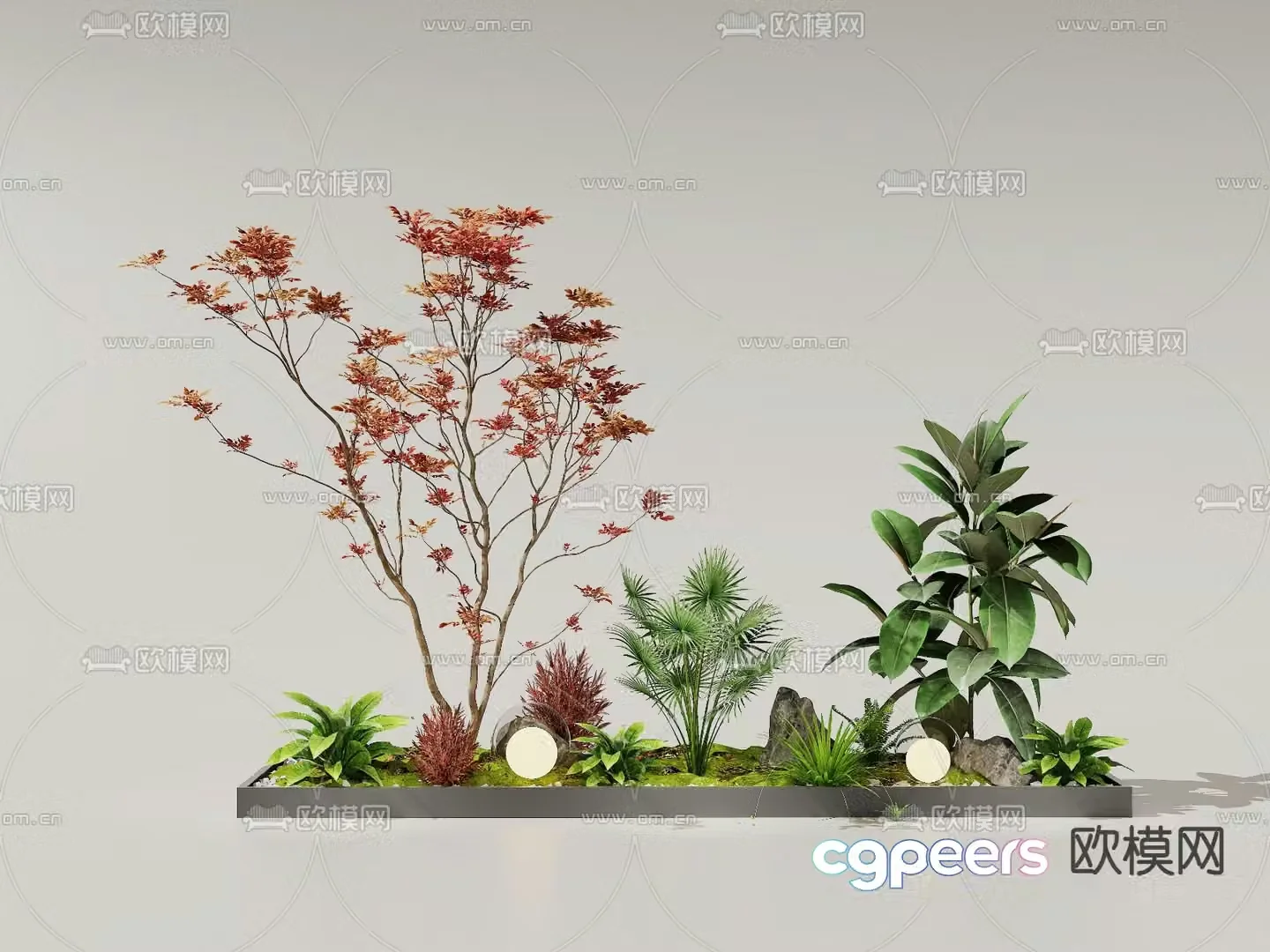 Garden sketch plant pile maple 3D model