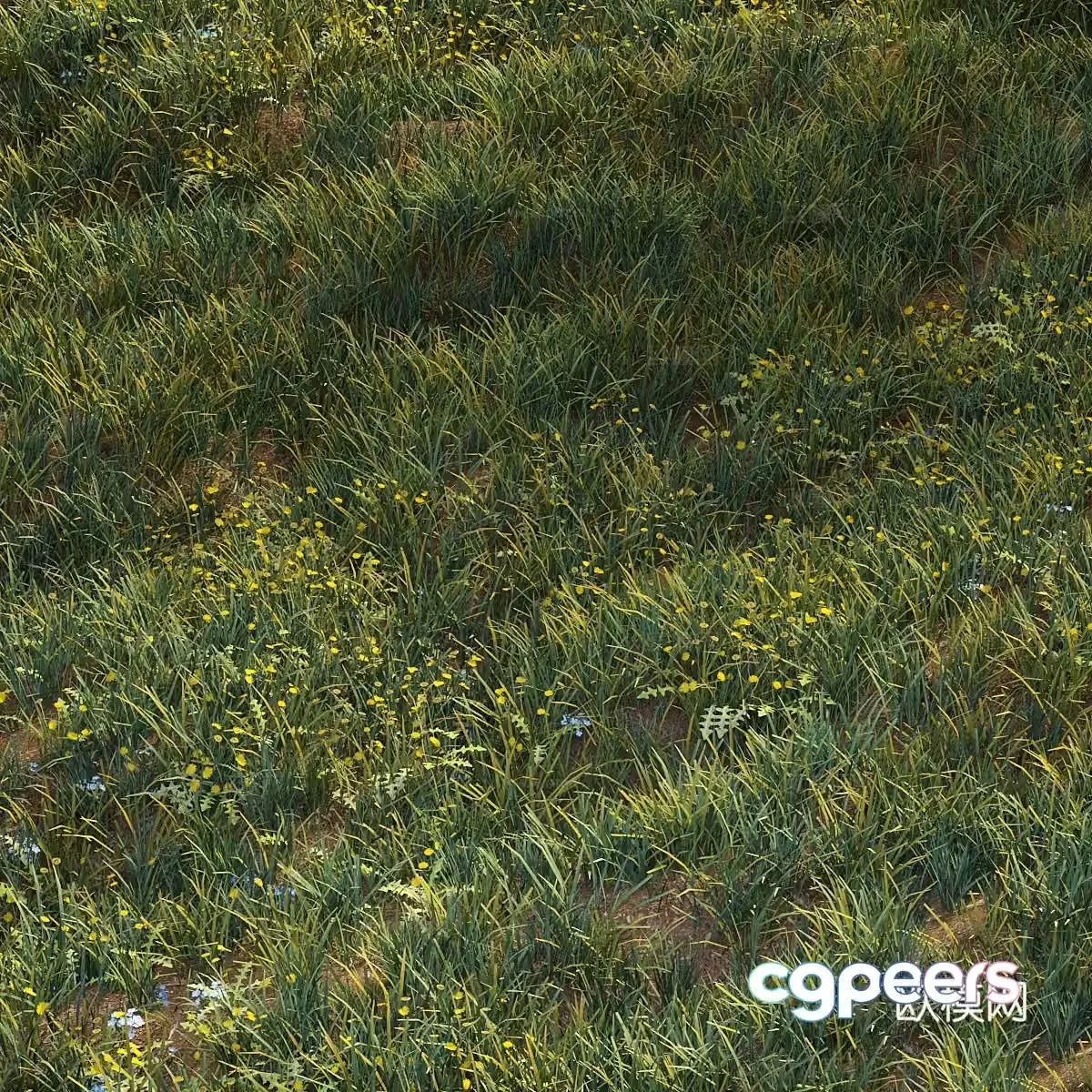 Grass 3d model