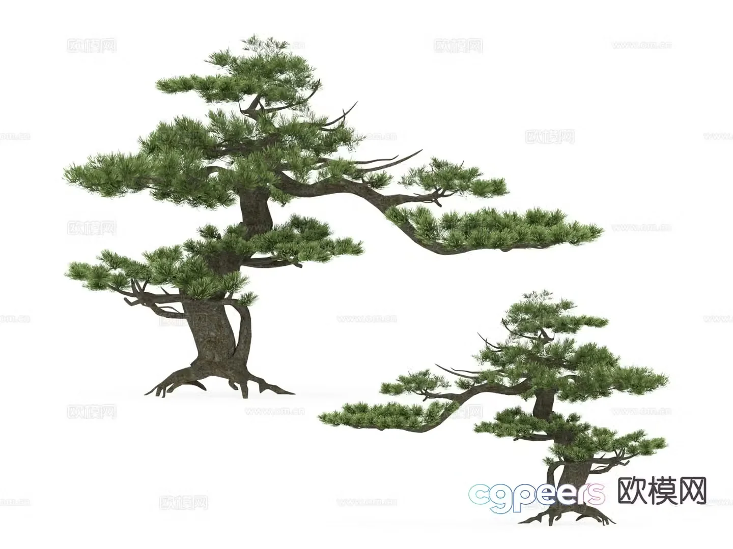 Landscape tree Pine tree Big tree Tree 3d model