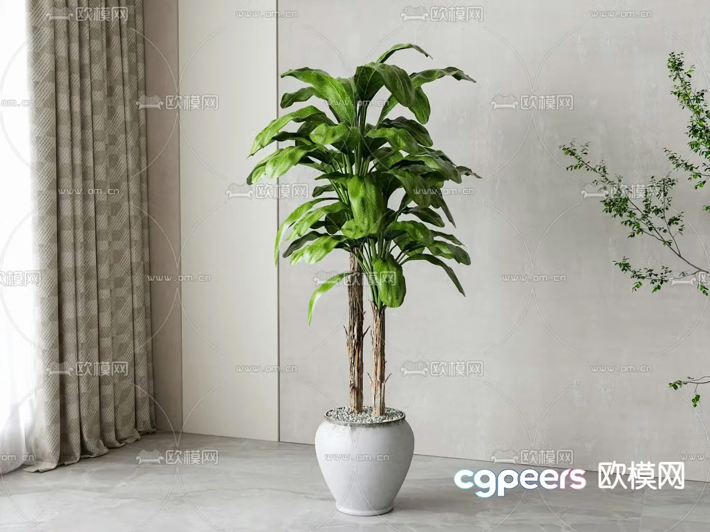 Potted plant Dieffenbachia 3D model