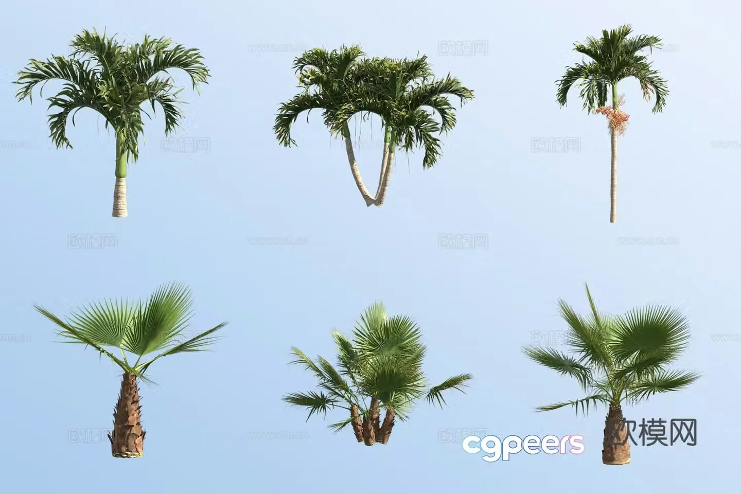 Christmas coconut tree squid tropical tree shrub 3d model