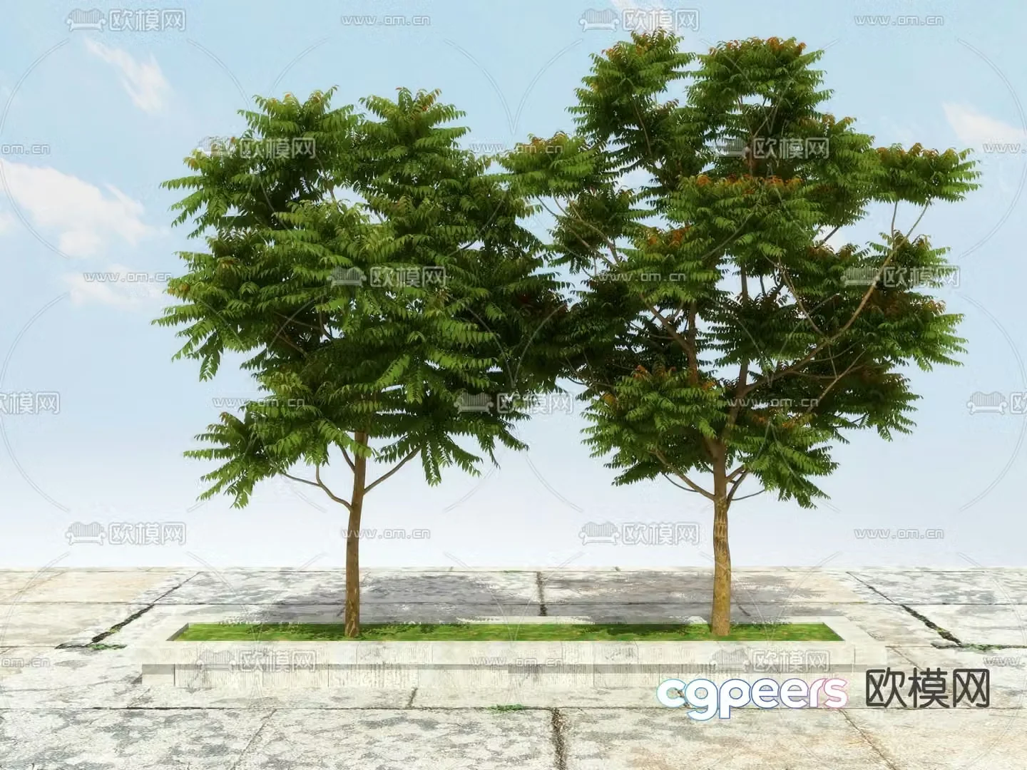 Herbs tree fragrant spring tree 3d model