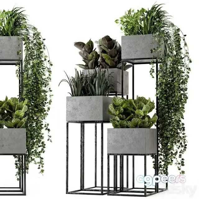 3ds Max Free – Indoor Plants in rusty Concrete Pot on Metal Shelf – Set 221