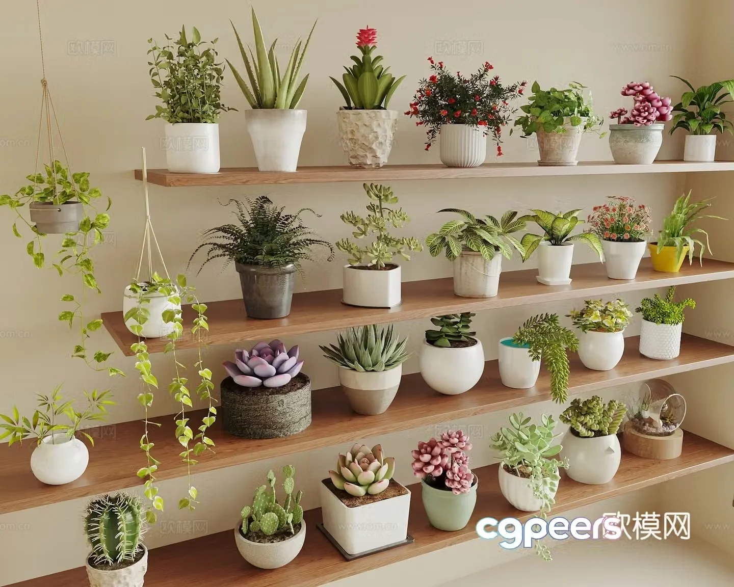 Potted plants Succulent potted plants Green plant Potted plants Spider plants Small potted plants Cactus 3D model