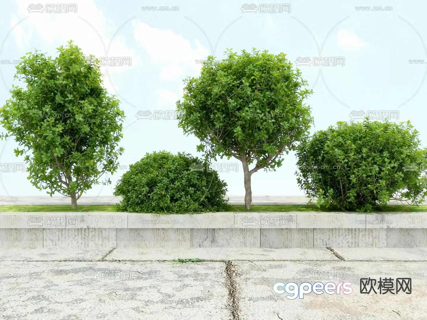 Modeling shrubs pruning shrubs 3d model