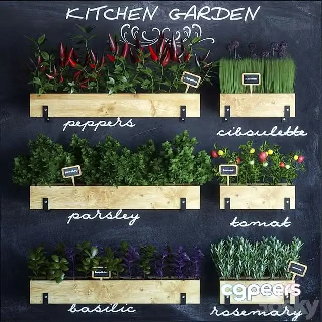 3ds Max Free – Decorative set of all-green plants for the kitchen interiors