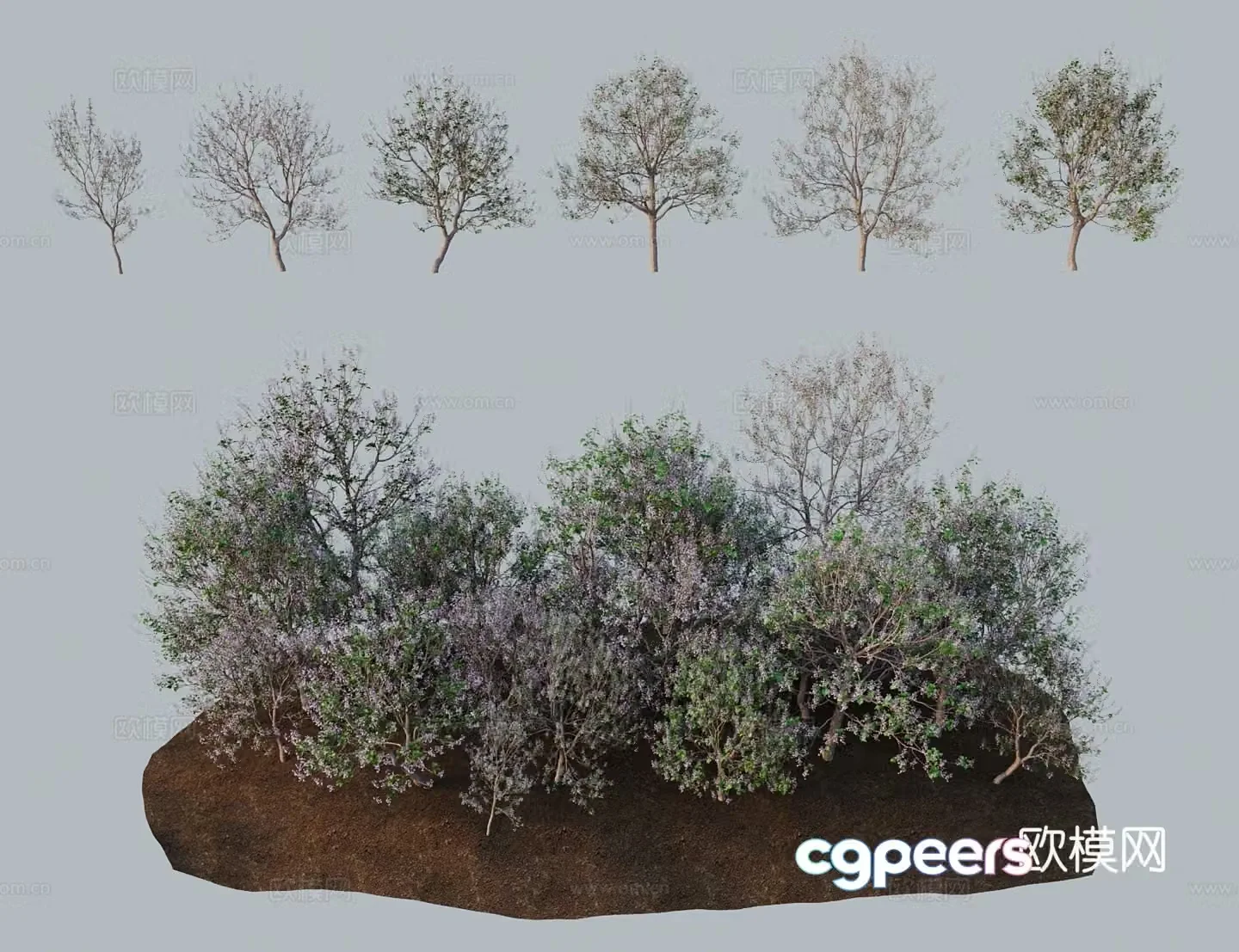 Modern tree landscape tree hairy Paulownia light Paulownia Lankao Paulownia white flower Paulownia Taiwan 3D model