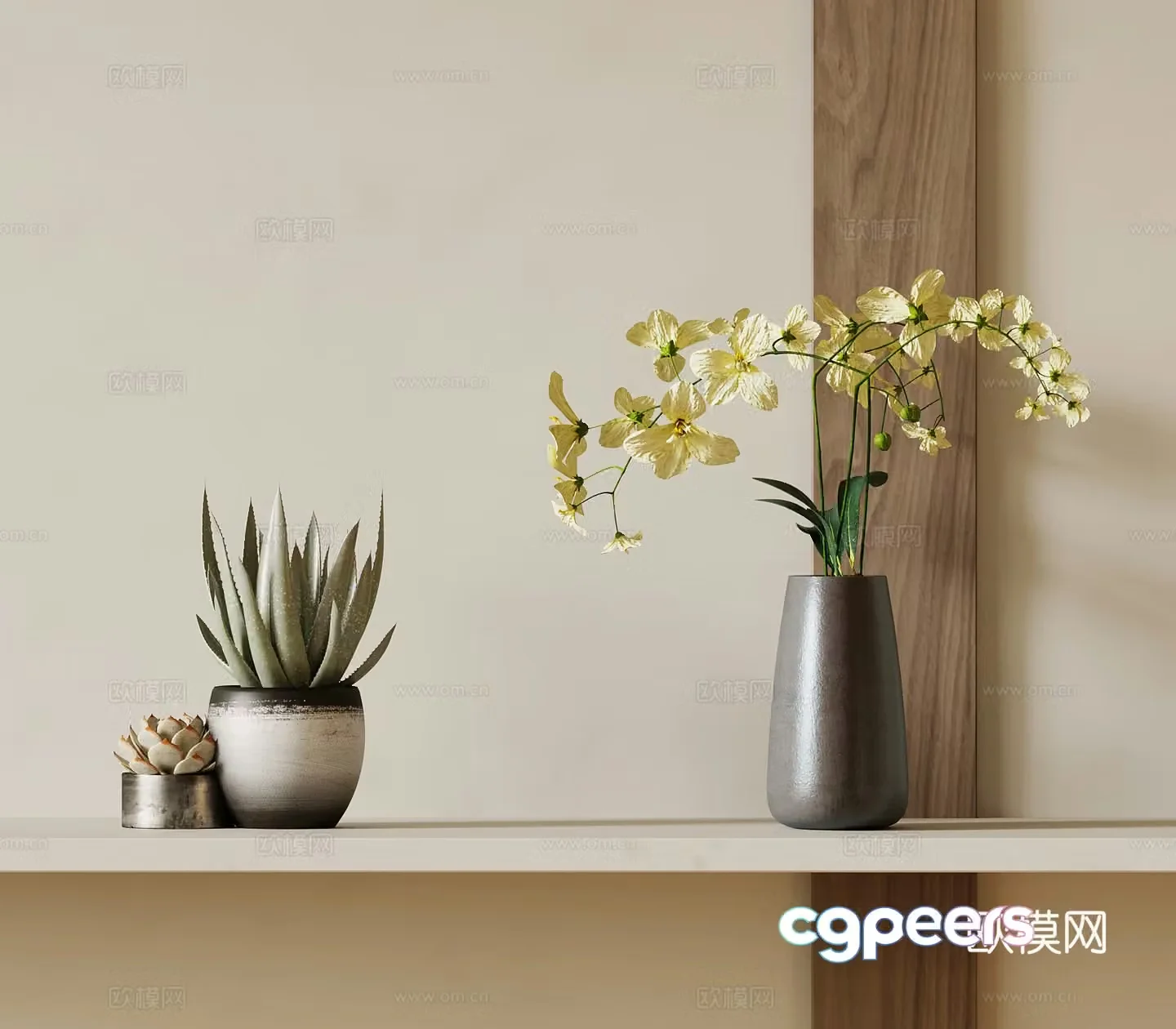 Modern flowerpots green plants succulent potted plants desktop potted plants 3D model
