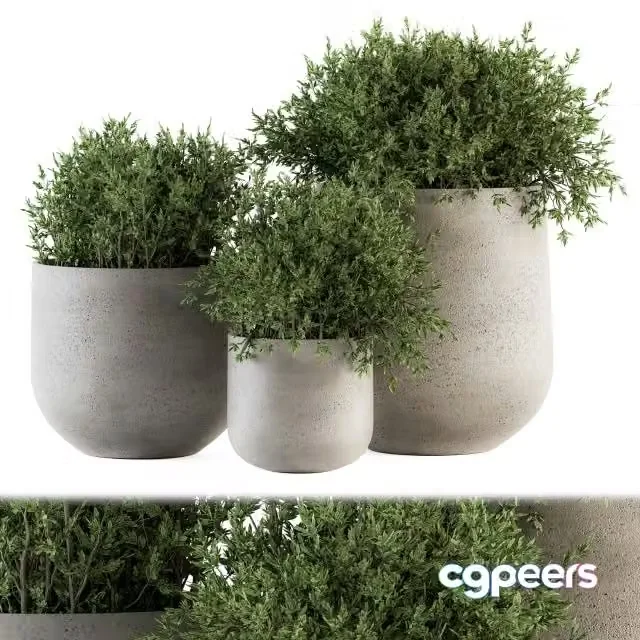 3ds Max Free – Outdoor Plants tree in Concrete pot – Set 125