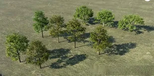 Trees In Grass 3D Model – 4557 – VRAY Render