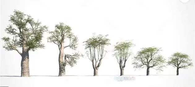 Trees With Green Leaves 3D Model – 9958 – VRAY Render
